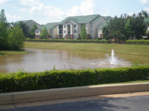 ssparklinglake.jpg